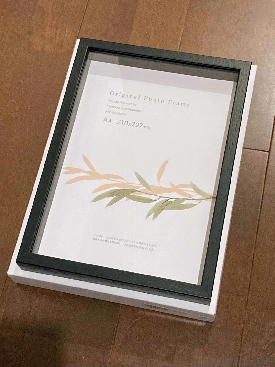 立体額 シーラケース 標本箱