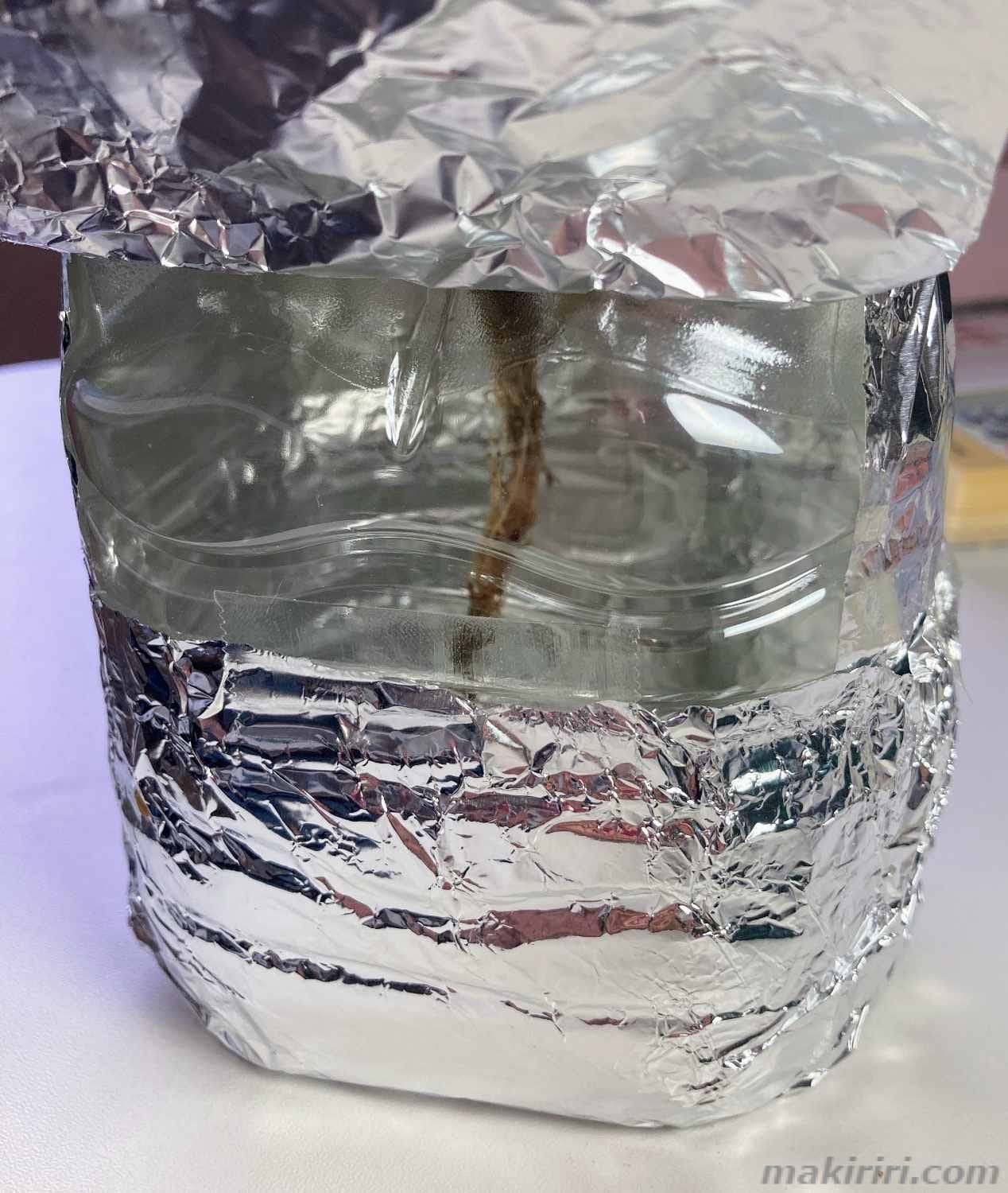 ペットボトル水耕栽培 ピーマン